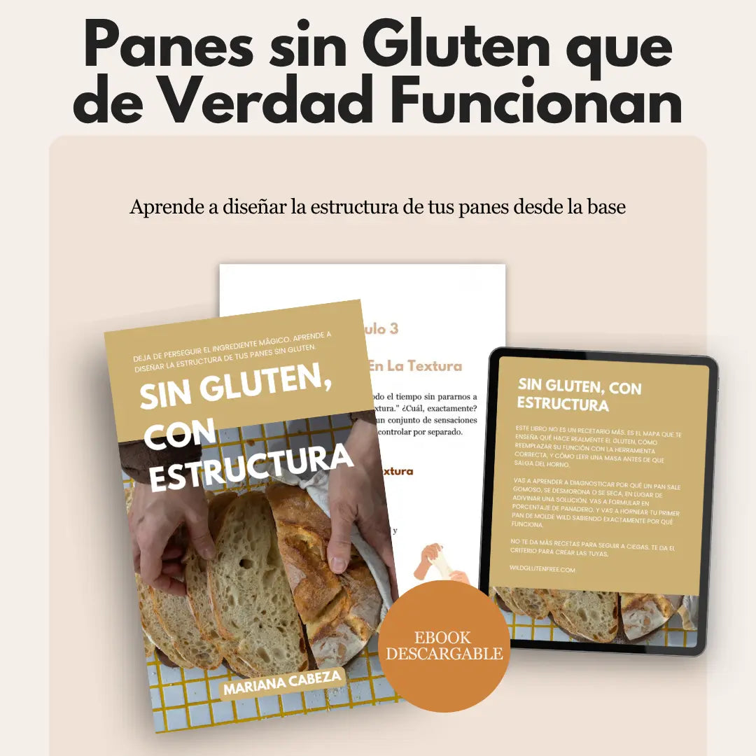 libro sin gluten con estructura